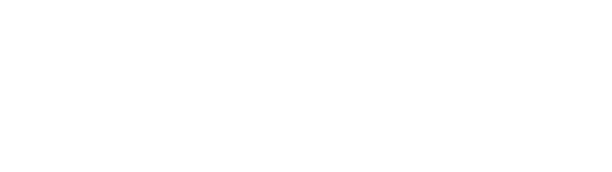 Niowave White Logo